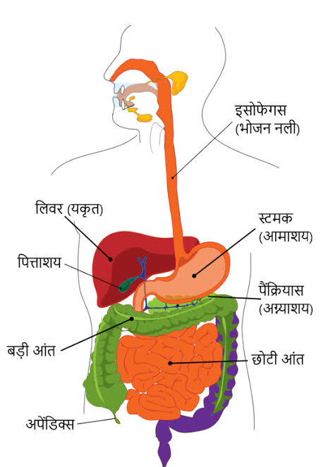 WhatsApp Image 2025-01-11 at 2.36.26 PM (1)